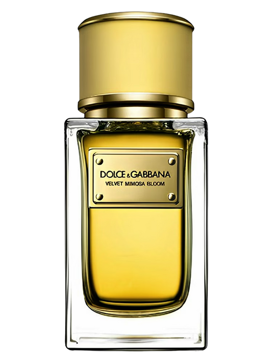 Dolce & Gabbana Velvet Mimosa Bloom Eau De Parfum